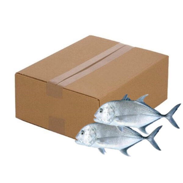 Chinchard carton 10kg