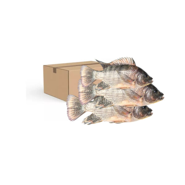 Tilapia carton 5kg